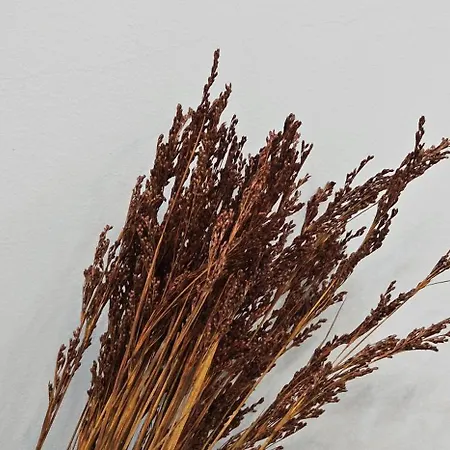 Apartament Sandra's Seaside Luxury *