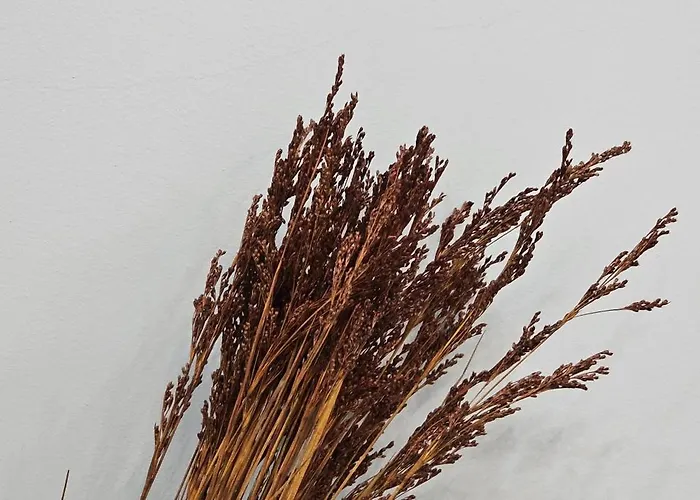 شقة Βeachfront Luxury Apartments Sarande *